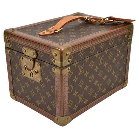 louis vuitton shoe luggage|louis vuitton hard case.